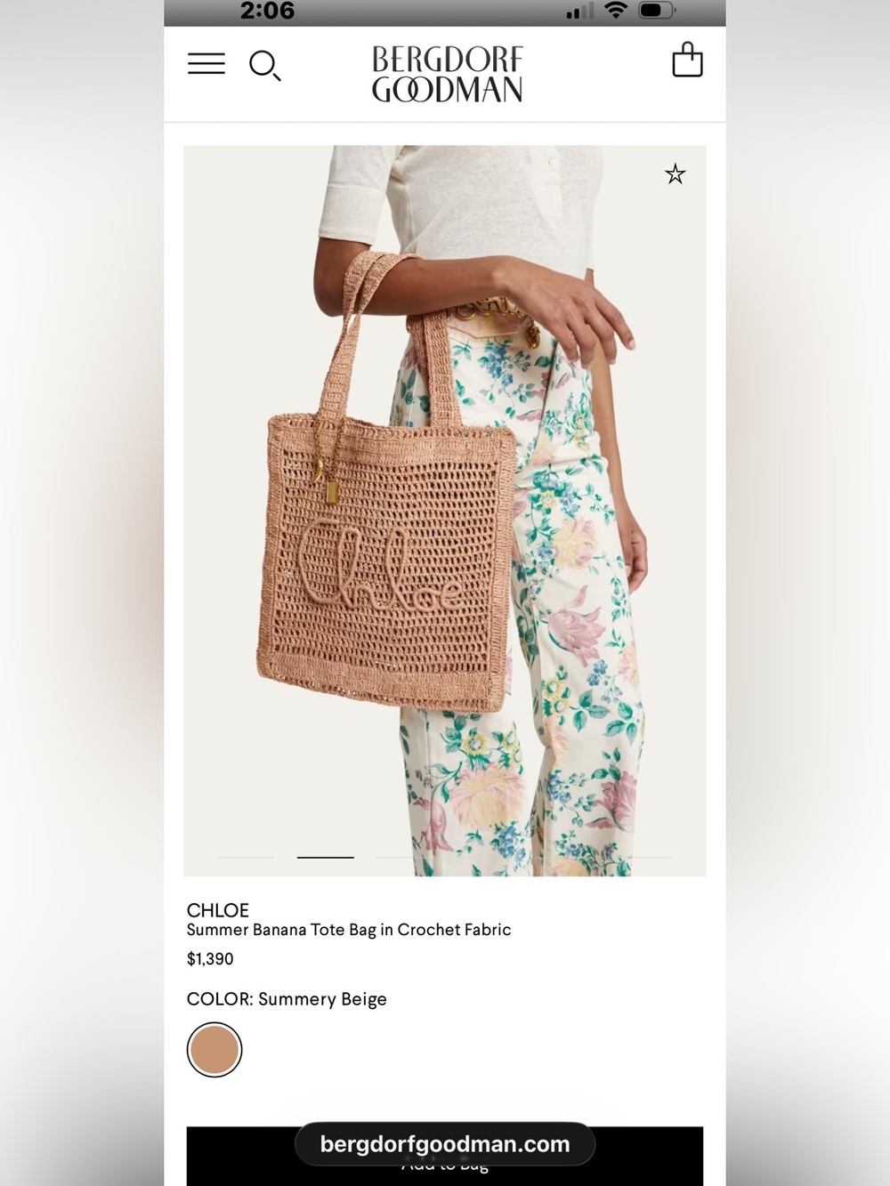 Chloe RafiaTote Bag in Summery Beige